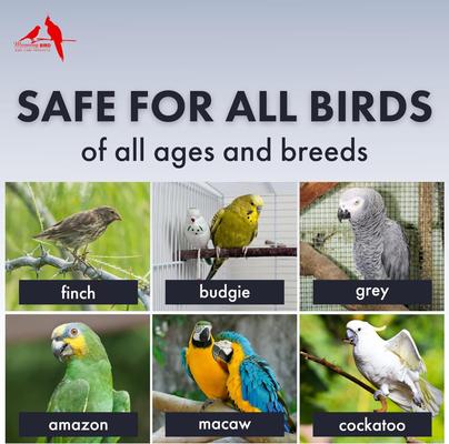 Show full view: Morning Bird Probiotics Bird Supplement, 3-oz jar slide 4 of 7