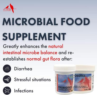 Show full view: Morning Bird Probiotics Bird Supplement, 3-oz jar slide 3 of 7