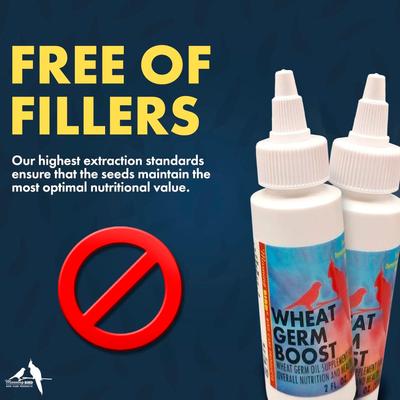 Show full view: Morning Bird Wheat Germ Boost Bird Supplement, 2-fl oz bottle slide 6 of 7