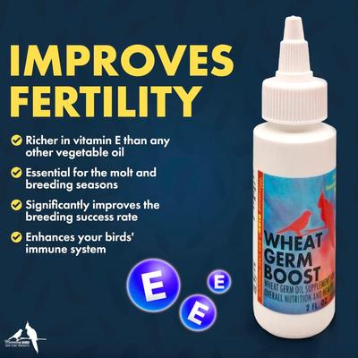 Show full view: Morning Bird Wheat Germ Boost Bird Supplement, 2-fl oz bottle slide 4 of 7
