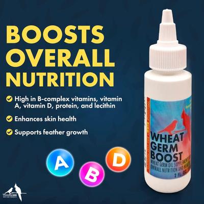 Show full view: Morning Bird Wheat Germ Boost Bird Supplement, 2-fl oz bottle slide 3 of 7