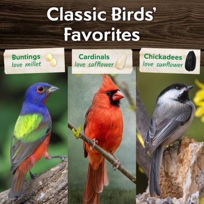 Show full view: Morning Song Birdwatchers' Blend Wild Bird Food, 18-lb bag slide 6 of 10