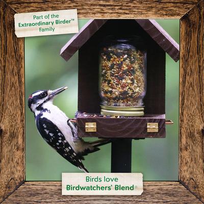 Show full view: Morning Song Birdwatchers' Blend Wild Bird Food, 18-lb bag slide 7 of 10