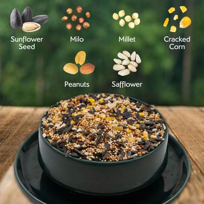 Show full view: Morning Song Birdwatchers' Blend Wild Bird Food, 8-lb bag slide 3 of 10