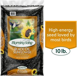 Morning Song Black Oil Sunflower Seed Wild Bird Food, 10-lb bag