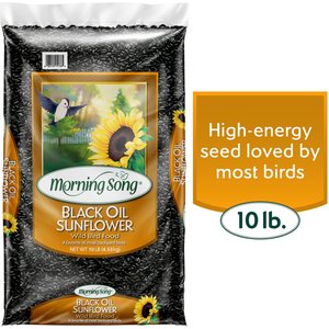 Morning Song Black Oil Sunflower Seed Wild Bird Food, 10-lb bag