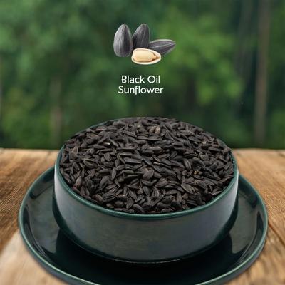 Show full view: Morning Song Black Oil Sunflower Seed Wild Bird Food, 10-lb bag slide 3 of 10