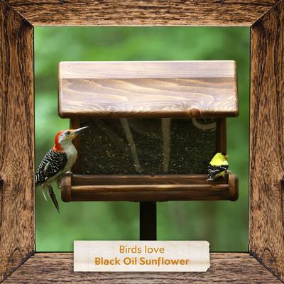 Show full view: Morning Song Black Oil Sunflower Seed Wild Bird Food, 10-lb bag slide 7 of 10