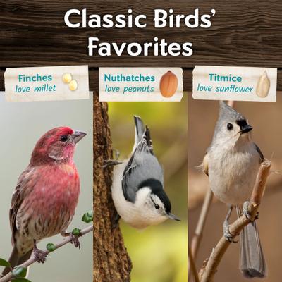 Show full view: Morning Song Clean & Free Wild Bird Food, 10-lb bag slide 6 of 10