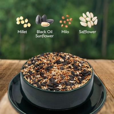 Show full view: Morning Song Deluxe Wild Bird Food, 10-lb bag slide 3 of 10