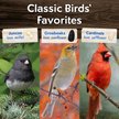 Show in main carousel: Morning Song Deluxe Wild Bird Food, 10-lb bag slide 6 of 10