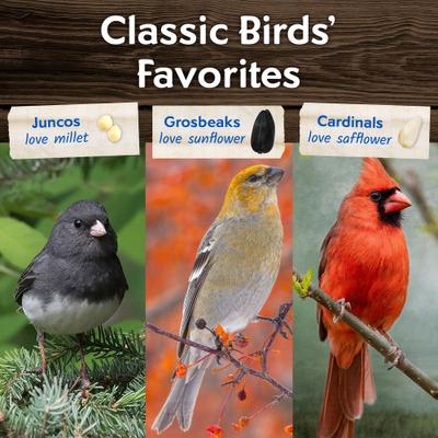 Show full view: Morning Song Deluxe Wild Bird Food, 10-lb bag slide 6 of 10