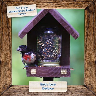 Show full view: Morning Song Deluxe Wild Bird Food, 20-lb bag slide 7 of 10