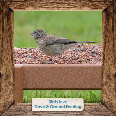 Show full view: Morning Song Dove & Ground Feeding Wild Bird Food, 7-lb bag slide 7 of 8