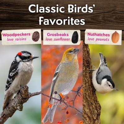 Show full view: Morning Song Nut & Fruit Wild Bird Food, 15-lb bag slide 6 of 10