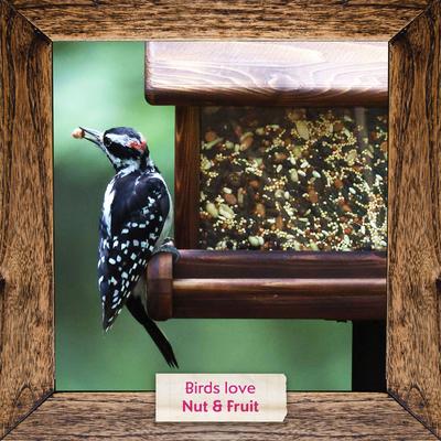 Show full view: Morning Song Nut & Fruit Wild Bird Food, 15-lb bag slide 7 of 10