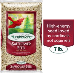 Morning Song Safflower Seed Wild Bird Food, 7-lb bag