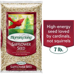 Morning Song Safflower Seed Wild Bird Food, 7-lb bag