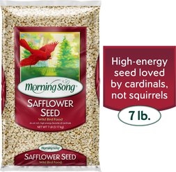 Morning Song Safflower Seed Wild Bird Food, 7-lb bag