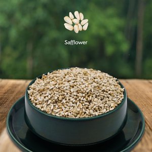 Morning Song Safflower Seed Wild Bird Food, 7-lb bag