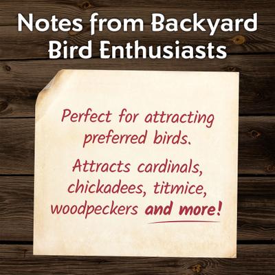 Show full view: Morning Song Safflower Seed Wild Bird Food, 7-lb bag slide 4 of 9