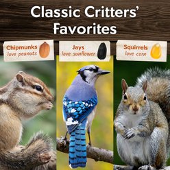 Morning Song Squirrel & Backyard Wildlife Wild Bird Food, 10-lb bag slide 2 of 8