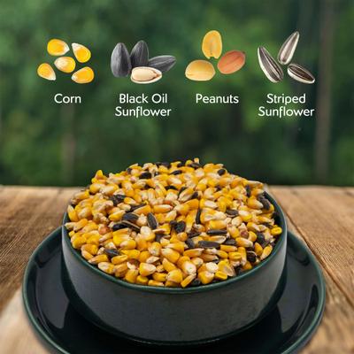 Show full view: Morning Song Squirrel & Backyard Wildlife Wild Bird Food, 10-lb bag slide 3 of 9