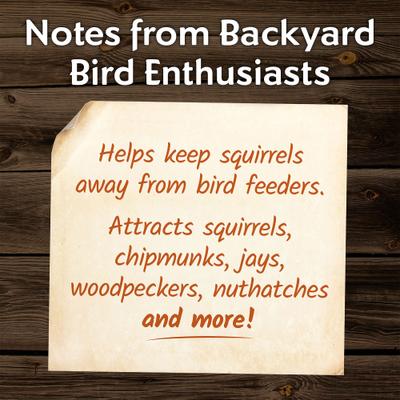 Show full view: Morning Song Squirrel & Backyard Wildlife Wild Bird Food, 10-lb bag slide 4 of 9
