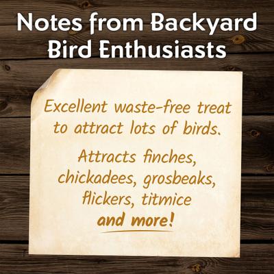 Show full view: Morning Song Sunflower Hearts & Chips Wild Bird Food, 5.5-lb bag slide 4 of 9