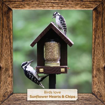 Show full view: Morning Song Sunflower Hearts & Chips Wild Bird Food, 5.5-lb bag slide 7 of 9