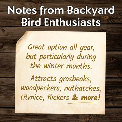 Show full view: Morning Song Sunflower Suet Wild Bird Food, 12 count slide 4 of 8