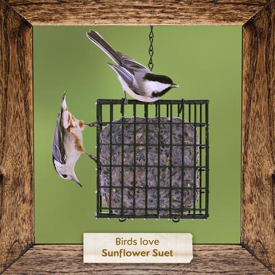 Show full view: Morning Song Sunflower Suet Wild Bird Food, 12 count slide 7 of 8