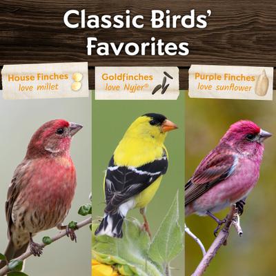 Show full view: Morning Song Wild Finch Wild Bird Food, 5-lb bag slide 6 of 9