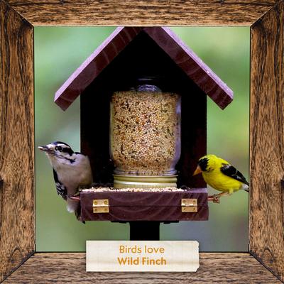 Show full view: Morning Song Wild Finch Wild Bird Food, 5-lb bag slide 7 of 9