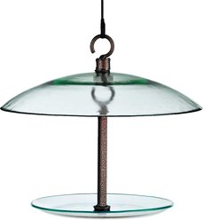 Mosaic Birds 360 Degree Petite Seed Cylinder Bird Feeder, 11-in, Clear