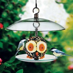 Mosaic Birds 360 Degree Petite Seed Cylinder Bird Feeder, 11-in, Clear slide 2 of 5