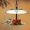 Show in main carousel: Mosaic Birds 360 Degree Petite Seed Cylinder Bird Feeder, 11-in, Clear slide 4 of 5