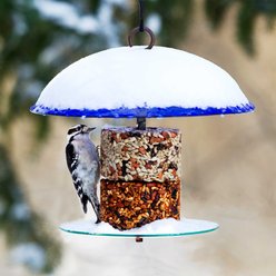 Mosaic Birds 360 Degree Petite Seed Cylinder Bird Feeder, 11-in, Cobalt Blue slide 2 of 6