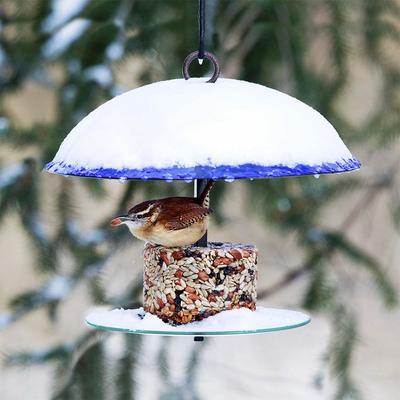 Show full view: Mosaic Birds 360 Degree Petite Seed Cylinder Bird Feeder, 11-in, Cobalt Blue slide 4 of 6