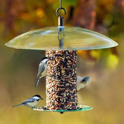 Mosaic Birds 360 Degree Seed Cylinder Bird Feeder, 15-in, Clear slide 2 of 3