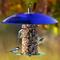 Show in main carousel: Mosaic Birds 360 Degree Seed Cylinder Bird Feeder, 15-in, Cobalt Blue slide 3 of 5