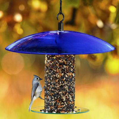 Show full view: Mosaic Birds 360 Degree Seed Cylinder Bird Feeder, 15-in, Cobalt Blue slide 2 of 5