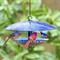 Show in main carousel: Mosaic Birds Baffle Dome Bird Feeder, 32-oz, Cobalt Blue slide 5 of 6