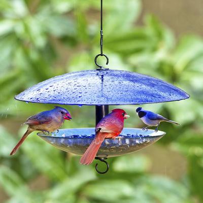 Show full view: Mosaic Birds Baffle Dome Bird Feeder, 32-oz, Cobalt Blue slide 5 of 6