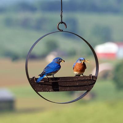 Show full view: Mosaic Birds Bistro Bird Feeder, 16.9-oz, Copper slide 2 of 8