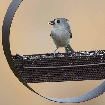 Show full view: Mosaic Birds Bistro Bird Feeder, 16.9-oz, Copper slide 6 of 8