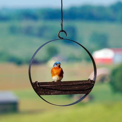 Show full view: Mosaic Birds Bistro Bird Feeder, 16.9-oz, Copper slide 5 of 8