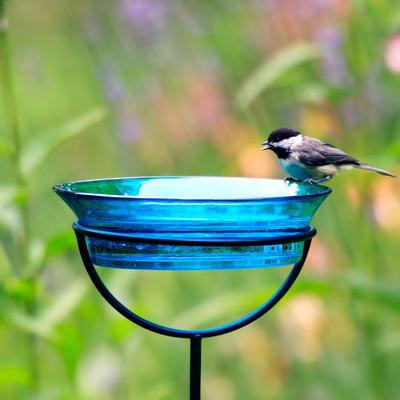 Show full view: Mosaic Birds Cuban Garden Stake Bird Feeder, 20.3-oz, Aqua slide 6 of 6