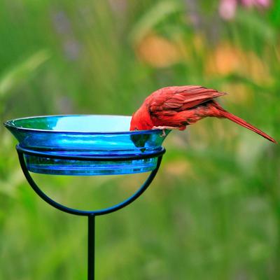 Show full view: Mosaic Birds Cuban Garden Stake Bird Feeder, 20.3-oz, Aqua slide 3 of 6