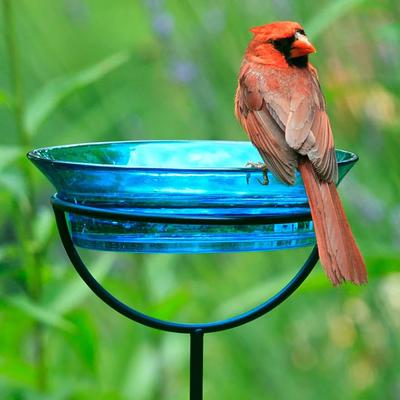 Show full view: Mosaic Birds Cuban Garden Stake Bird Feeder, 20.3-oz, Aqua slide 2 of 6